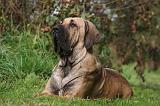 FILA BRASILEIRO 031